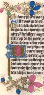 Zierinitiale D  (81)
 from