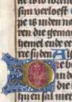Zierinitiale D  (53)
