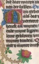 Zierinitiale M (294)
