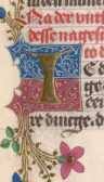Zierinitiale G und T (329)
