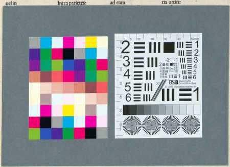 Illustration dans
