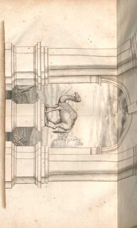 Figura de