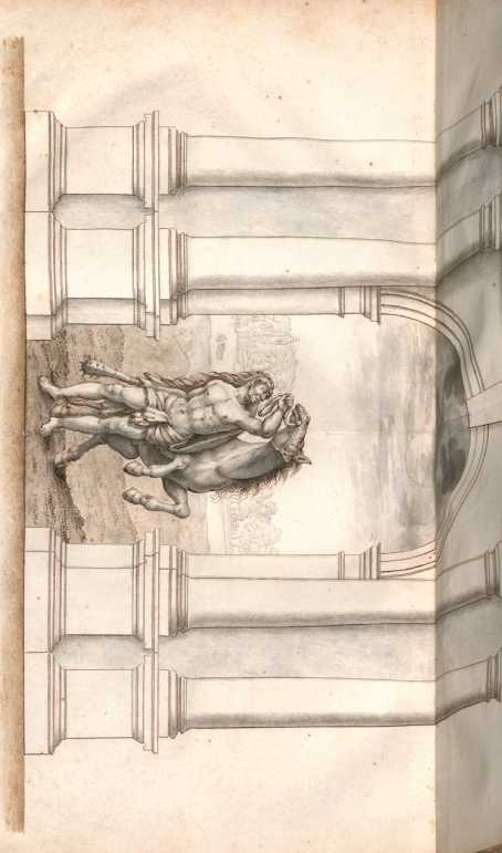 Figura de