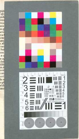 Illustration dans