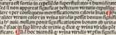Abbildung