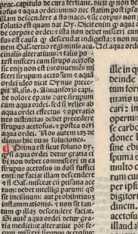 Figura din