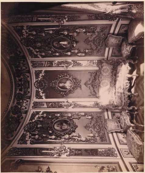 Tafel 11:[Rosa Kabinett].
