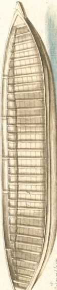 Schiffskonstruktion (236r)
