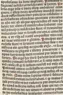 Figura da