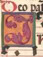 Initiale in Deckfarben und Gold: ... da
