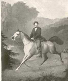 Tafel 5 Reiterbildnis König Ludwig ... da