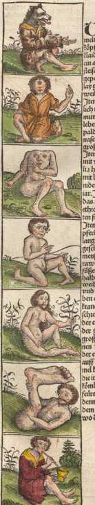 Abbildung aus