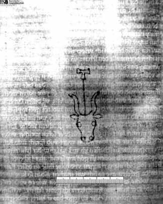 Bl. 79: Wasserzeichen: Ochsenkopf ... aus