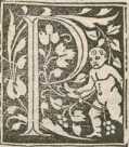 Textanfang (1)
