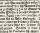 [Fortsetzung Raittenhaßlach.] (33)
