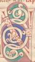 Rankeninitiale N (83)
