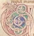 Initiale mit Schlange (#)

