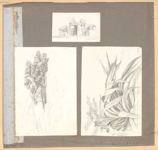 14a. Zypresse; 14b. Cortona/Toskana. Grotte ... din