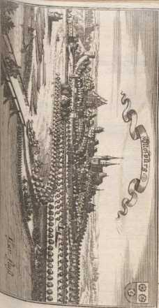 Tafel 29: Mospurg. (-- )

