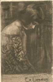 Vorderer Spiegel Exlibris Georg Caspari. ... aus