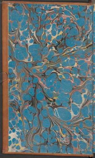 ~ Vorderer Spiegel ~ aus