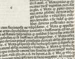 Textanfang (2)

