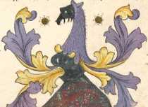 Textanfang (1)
