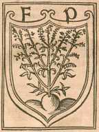 Figura de