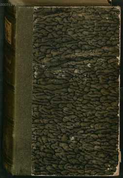 Figura de