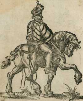 Figura din