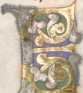 Zierinitiale E (#)

