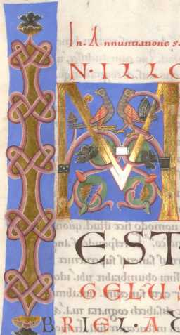 Initiale M mit Vögeln uit