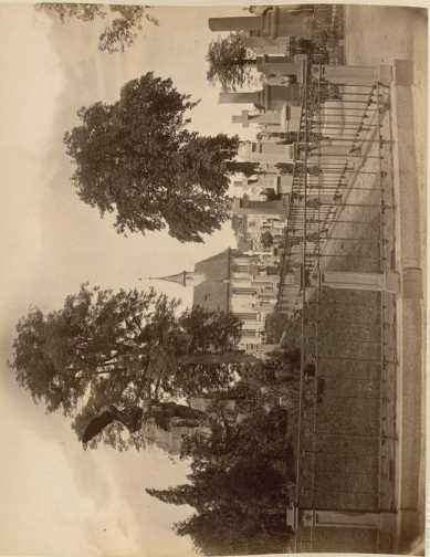 III.71. Auf dem Johanniskirchhof. ... aus