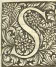 Priester Ildefons (Johann Ignaz) Hörger ... from