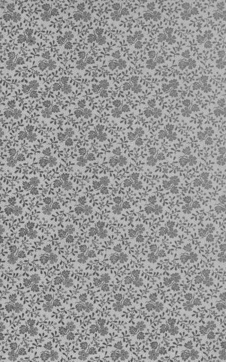 Image from