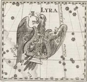 Figura din