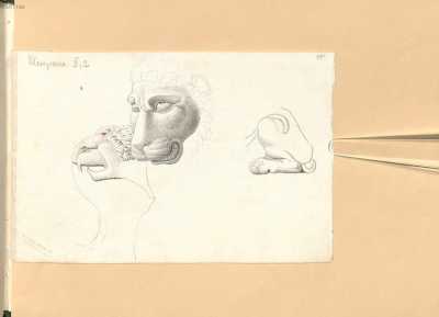 Detailzeichnungen zu Löwen uit