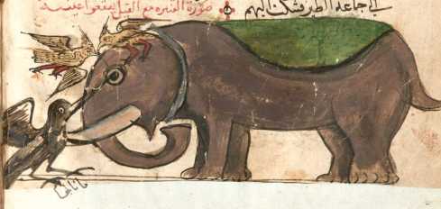 Miniatur: Elefant dans