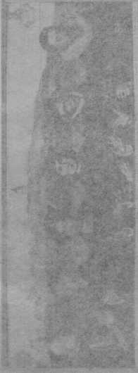 Figura da