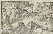 Figura din