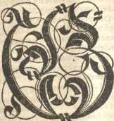 Figura din