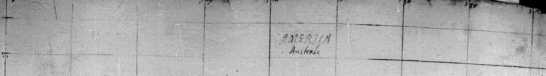 No. 64 118v-119r: Amerika - ... da
