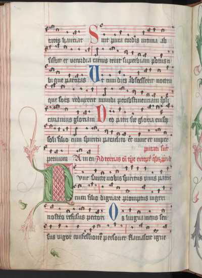 Zierinitiale N mit Blütenranken ... uit