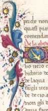 Zierinitiale  da