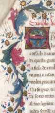 Zierinitiale  from