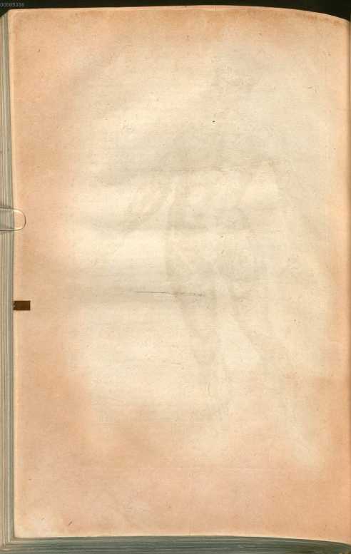 Figura da