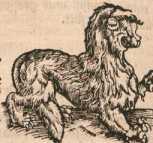 Figura din