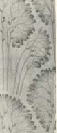 Figura da