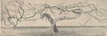 Epigonen
