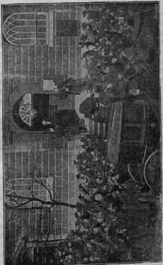 Figura da
